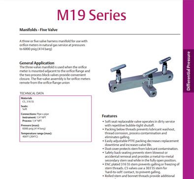 AGI M19 Series - 5 Valve Harness Manifolds